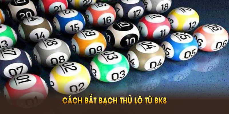 Cách bắt bạch thủ lô từ BK8 thích hợp mọi người chơi