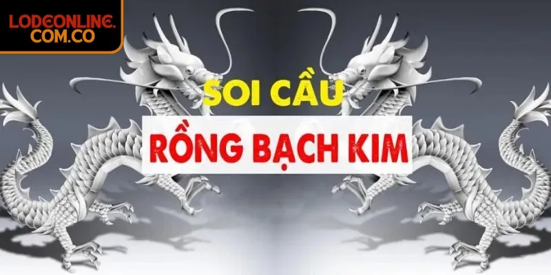Cách chơi và nguyên lý hoạt động của Rồng Bạch Kim