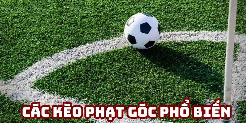 Nhiều hình thức khác nhau đáp ứng nhu cầu cá cược