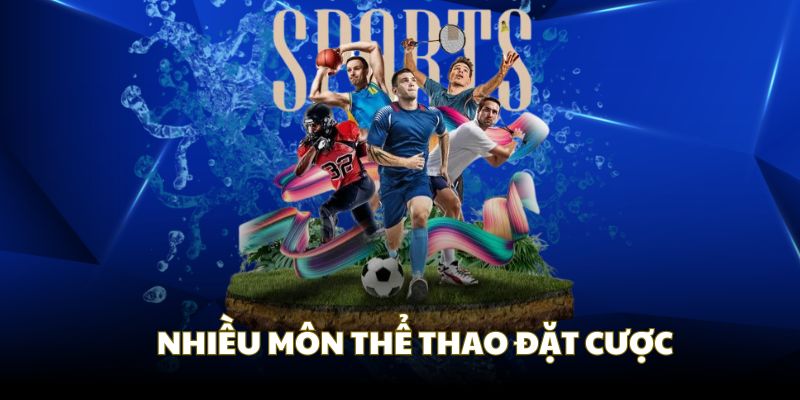 Sự đa dạng bộ môn