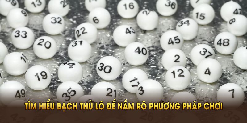 Tìm hiểu bạch thủ lô để nắm rõ phương pháp chơi